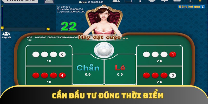 Hội viên cần xác định rõ thời điểm để đầu tư Hội viên cần xác định rõ thời điểm để đầu tư