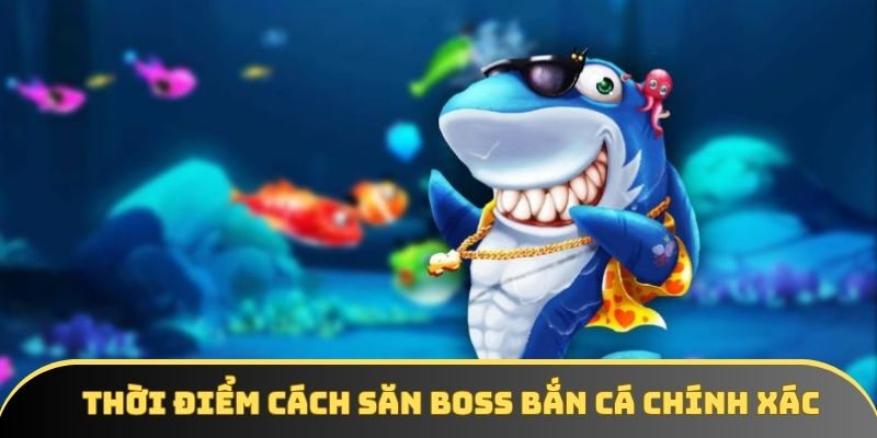 Thời điểm cách săn boss bắn cá chính xác Thời điểm cách săn boss bắn cá chính xác
