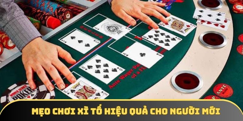 Lưu ý dành cho người mới khi chơi Xì tố Lưu ý dành cho người mới khi chơi Xì tố