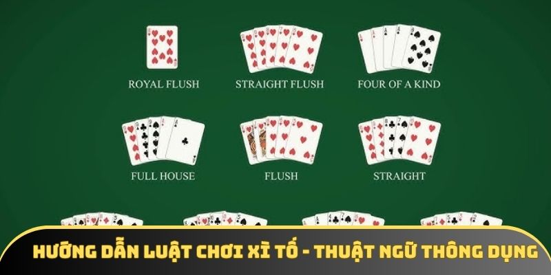 Hướng dẫn luật chơi Xì Tố - Thuật ngữ thông dụng Hướng dẫn luật chơi Xì Tố - Thuật ngữ thông dụng