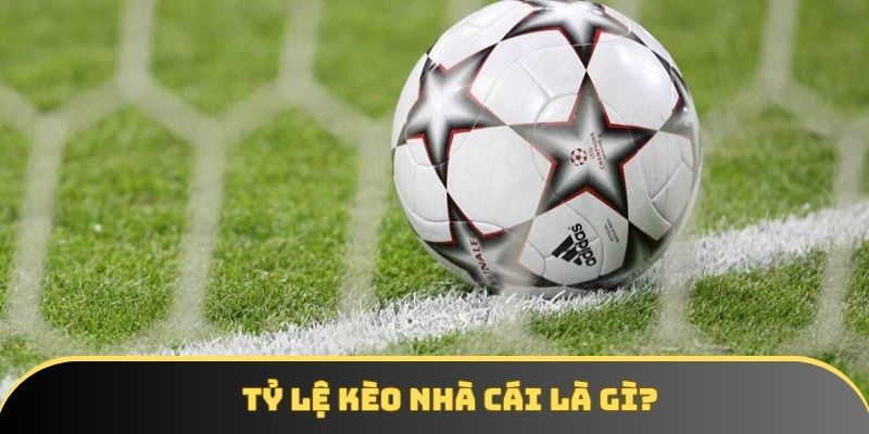 Tỷ lệ kèo nhà cái là gì Tỷ lệ kèo nhà cái là gì